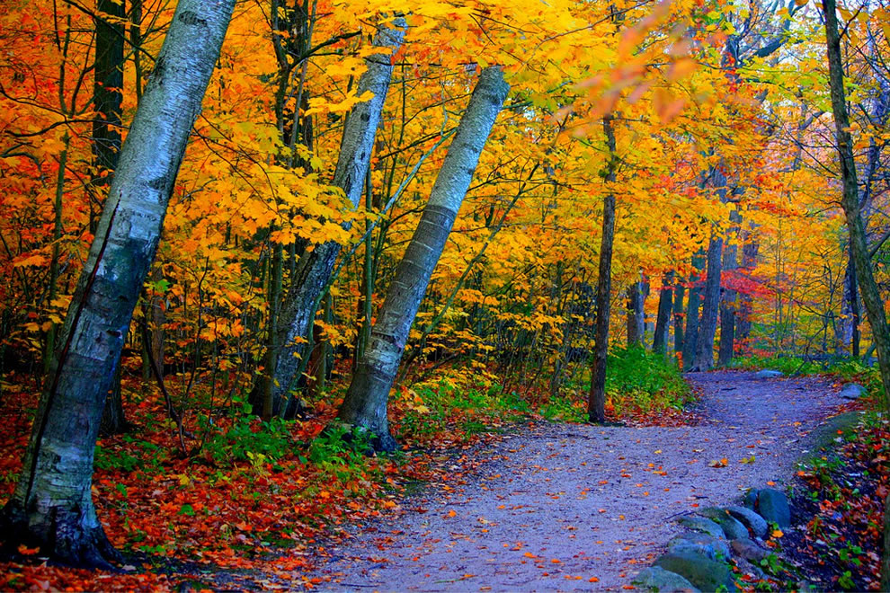 Grant Park pathway in Southern Milwaukee Wisconsin during an autumn morning - Еще один прекрасный осенний день в Милуоки