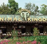 Парк  «Королевство животных»