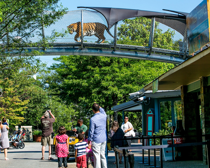 Zoopark Filadelfii - Филадельфия - старейший город США