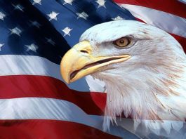 Интересные факты о США