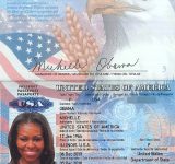 Характеристика паспорта США