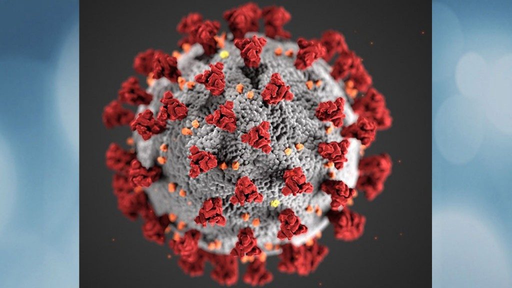 coronavirus 1024x576 - 158 зараженных коронавирусом в Висконсине, 3 - умерло